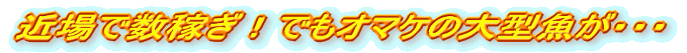 ߏŐ҂IłI}P̑^EEE